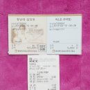 홍인금수산