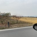 중림목욕탕 네이버블로그