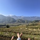 에코팜 | 베트남 사파 에코팜하우스 후기(Eco Palms House)| 사파 감성 숙소 추천, 논뷰 끝판왕 리조트