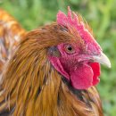 자강한의원 이미지