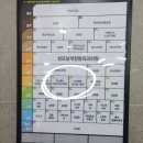 더미샵네일 네이버블로그
