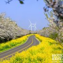 김밥에 라면 이미지