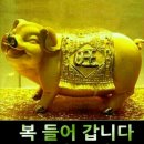 와플킹 이미지