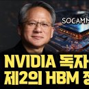 NVIDIA 독자 메모리 규격 SOCAMM...? 비밀리에 SK Hynix, 삼성 접촉 | HBM 대체 | CoWoS | SerDes 이미지