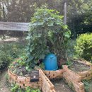 귤현동경로당 이미지