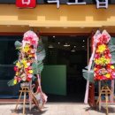 백초밥 - 강남구 논현로95길 29-16 | 백초밥