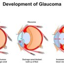 박순석동물메디컬센터 이미지