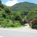 대둔산로(2) 이미지