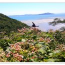 옹암상가 이미지