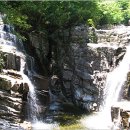 오동동033 이미지