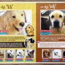 포포앤미루 강동점 이미지