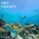 함께가는 거북이약국 | 아이랑 보홀 호핑투어 현실 후기, 발리카삭 거북이·돌고래 확률은? 보홀션 단독투어