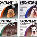 애견종합병원 이미지