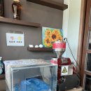 백세남원추어탕 이미지