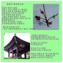 **山의 哲學**안병욱 박사님의 수필 이미지