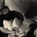 503사진 전시회 이미지