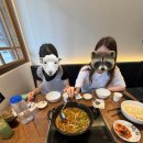 아멘교회 | 아멘: 아무튼 멘탈 회복