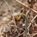 장산농장 이미지