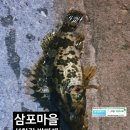 삼포선착장 이미지