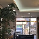 블루마운틴관광호텔 | 성산일출봉 숙소 추천 서귀포 블루마운틴 호텔 이코노미 트윈 후기 (뚜벅이 여행)
