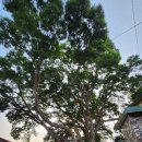 서천리경로당 이미지