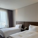 (주)호텔롯데 롯데시티호텔울산 | 울산 가성비 호텔 롯데시티호텔 울산 숙소 추천 (피트니스, 조식 후기)
