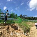 산지태양광발전소 이미지