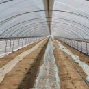 김희태농장 이미지