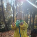 원대 수목원 이미지