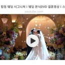 우리비디오 | 합정 웨딩시그니처 가성비 본식 스냅 &amp; DVD 예약 후기 &lt;우리 둘의 웨딩 뮤직비디오&gt; ♬