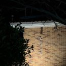 글라 애월 | 제주도 애견동반 숙소 [글라애월] 펜션 내돈내산 솔직후기🍊🌙