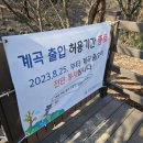 구룡자동차야영장 이미지