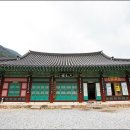 삼화사 Daum카페