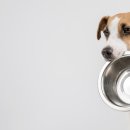 둔촌동물병원 이미지