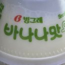 담모티 | 그래요 나 먹고 자고 했어요 일기: 45