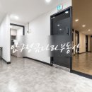 금나라부동산공인중개사사무소 이미지