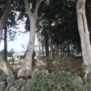 성산골든펜션 이미지