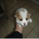 봉소회관 이미지