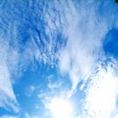 쉬자파크 이미지