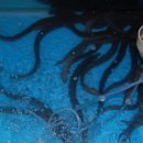 풍천장어타운 이미지