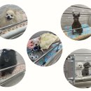 사과나무한방병원 이미지