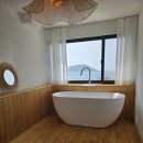 스테이ㅎ 이미지