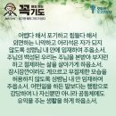 콩깍지 네이버블로그