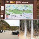 매미터 이미지