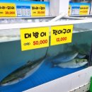 신기종합어시장회포장