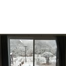 스테이 소안 네이버블로그