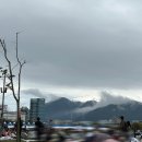 생태랑 놀아볼까 | 부산 락페에 혼여를 곁들인~3일차