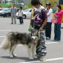 심심풀이 이미지