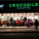 크로커다일 대리점 이미지