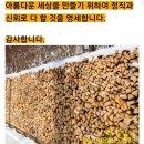 바짝마른 캠핑용 참나무장작 이미지